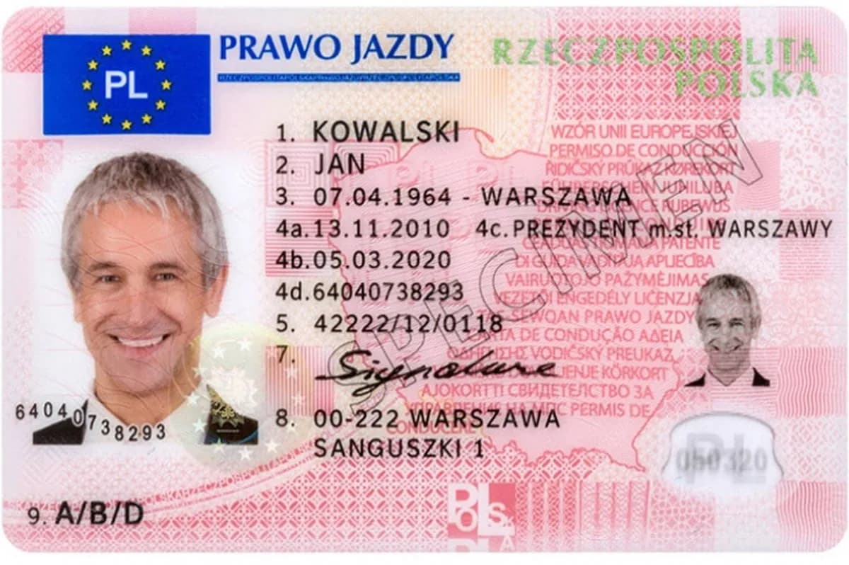 Jak sprawdzić, czy mam zabrane prawo jazdy i uniknąć nieprzyjemności